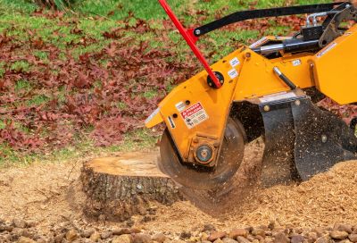 Bush Stump Grinding in Aiken, SC
