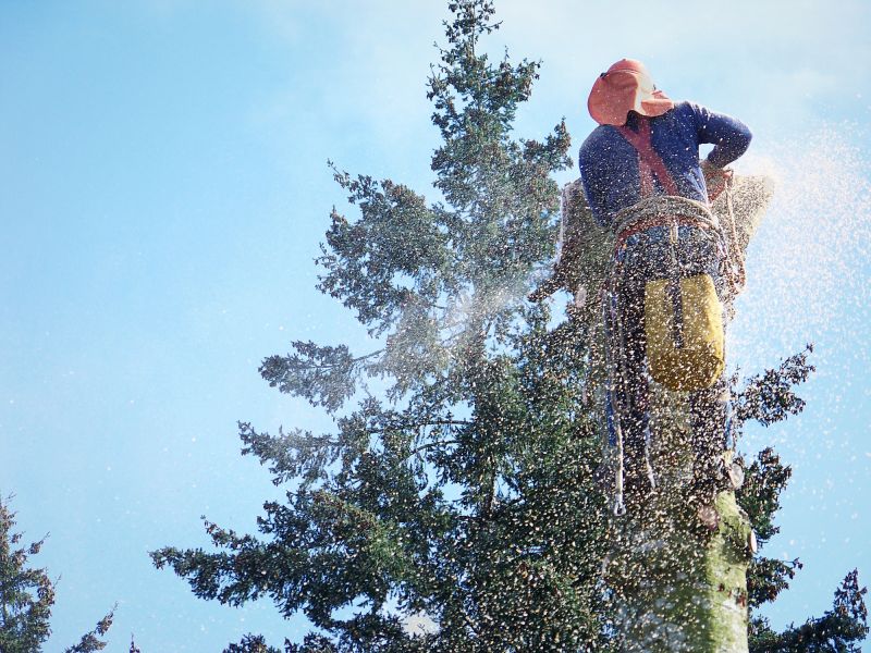 Dead Tree Removal in Bucks County, PA
