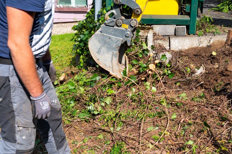 Hedge Removal Service in Rockwall, TX