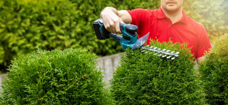 Hedge Removal Service in Ventura County, CA