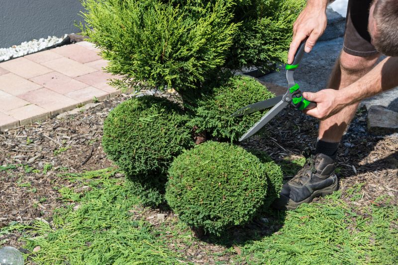 Landscape Pruning Service in Rockwall, TX