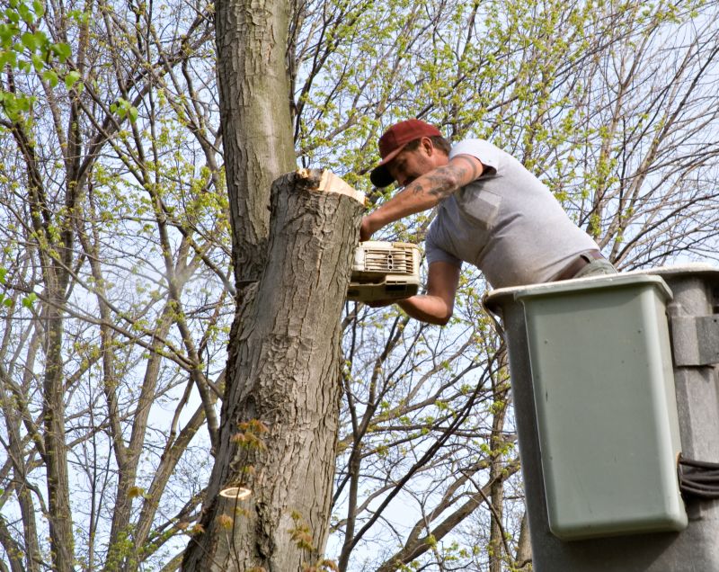 Residential Tree Service in Bucks County, PA