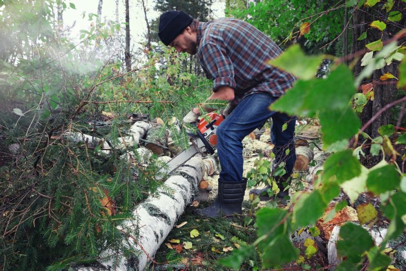 Spruce Tree Removal in Bucks County, PA