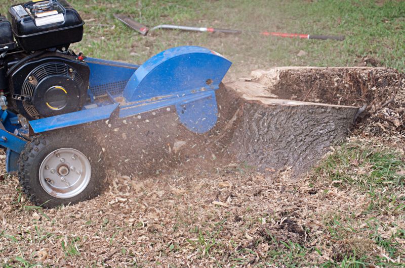 Stump Grinding Service in Waldorf, MD