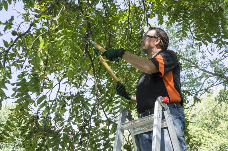 Tree Lopping Service in Doylestown, PA