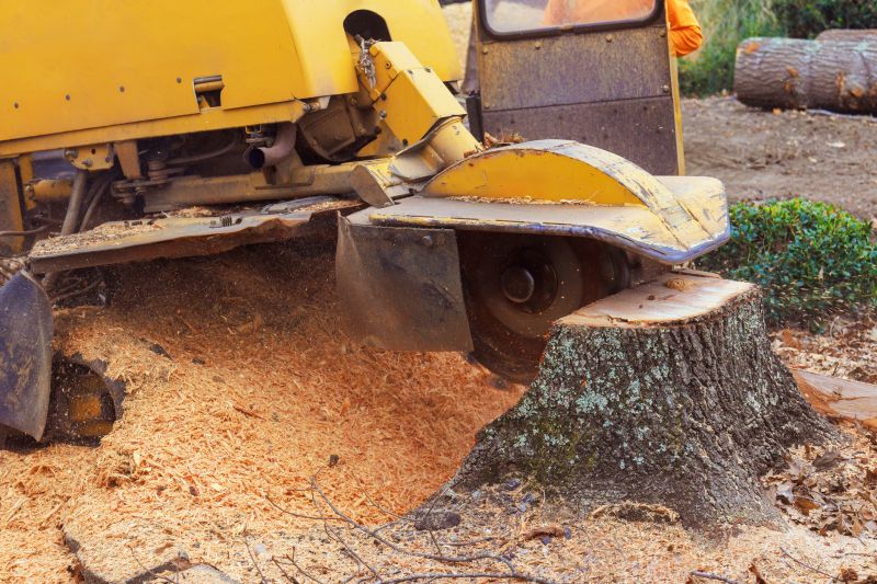 Tree Root Grinding in Aiken, SC